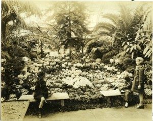 Easter Flower Show, Hershey Greenhouse, ca.1931-1942