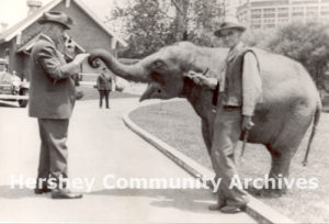 Milton Hershey visits with the Zoo's newest addition, a baby elephant, ca. 1935-1940