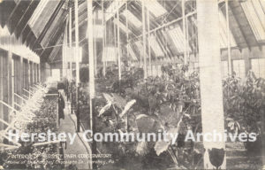 During the winter months, conservatories were used to propagate seedlings for the outdoor flower beds, ca. 1910