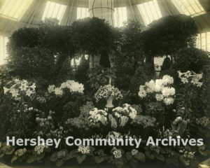Hershey Estates Greenhouse, ca. 1916