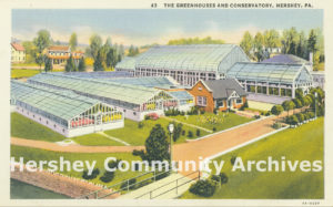Hershey Estates Greenhouse, ca. 1935-1940