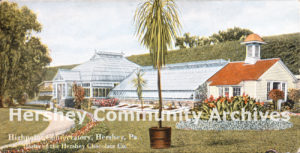 High Point mansion conservatory, ca. 1909-1918