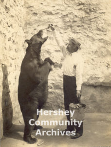 Hershey Park Zoo, Frantz Zinner feeding Bob the Bear in the Bear Pit, 1911