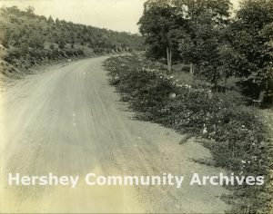 Drive to Pat’s Hill, ca. 1915-1924