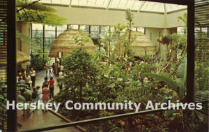 Hershey Chocolate World’s retail area was themed to suggest a village in a tropical jungle. 1973